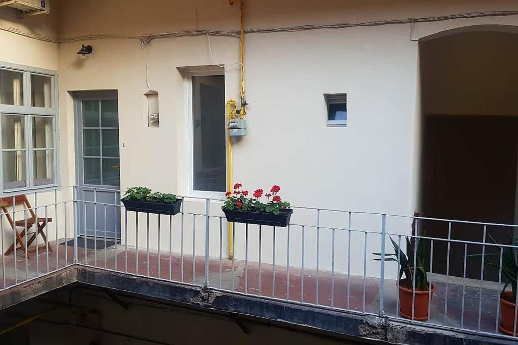 Charming Apartment In Historical City Center Timişoara Eksteriør billede